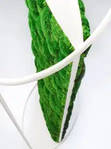 Green vertical plant wall with modern design.