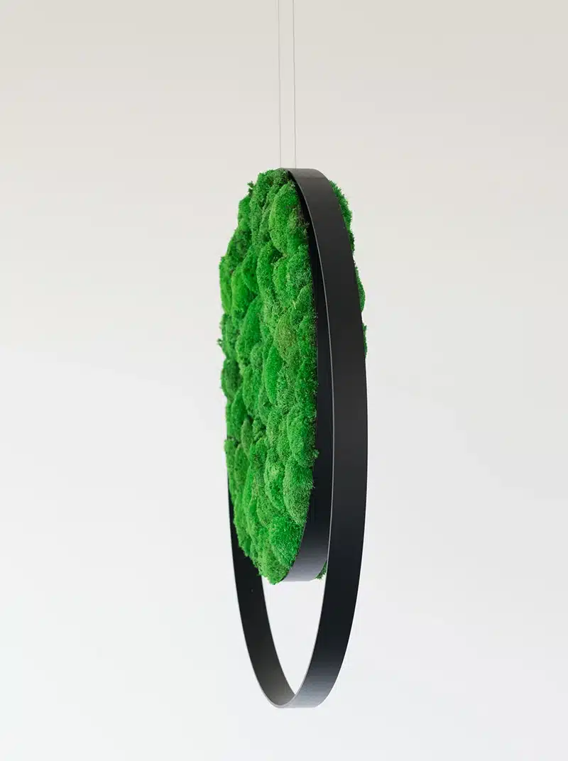 Hangende groene mos decoratieve ring sculptuur