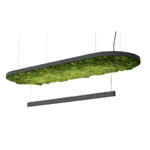 petit hoverlight2
