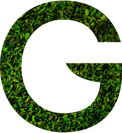 Logo 4