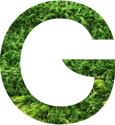 Logo 9