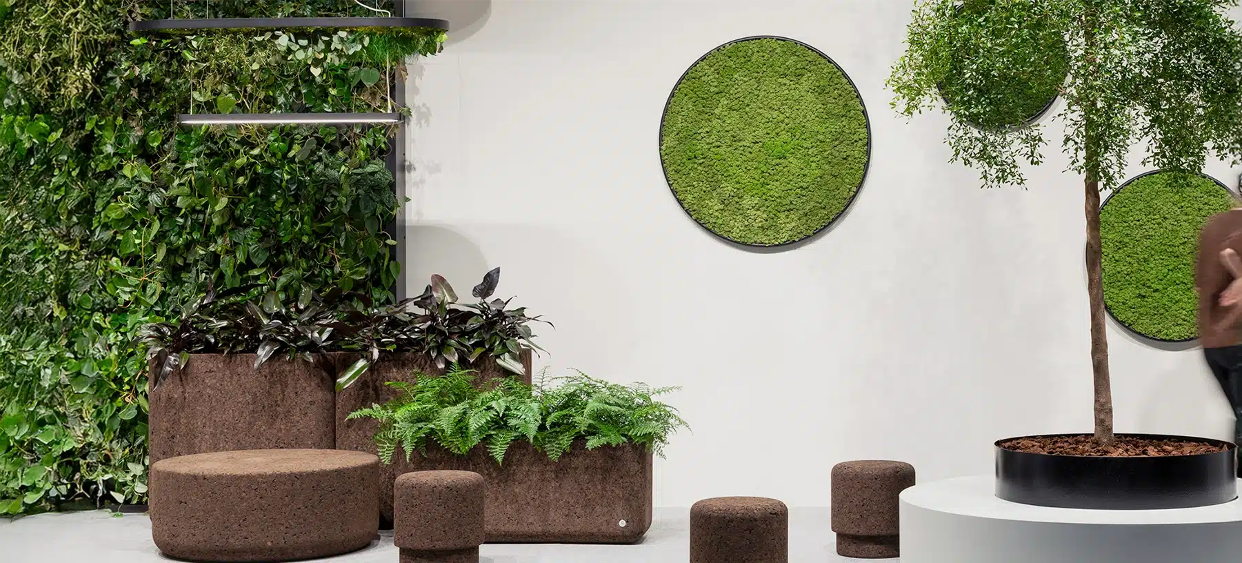 Binnentuin met planten en groene muurdecoratie.