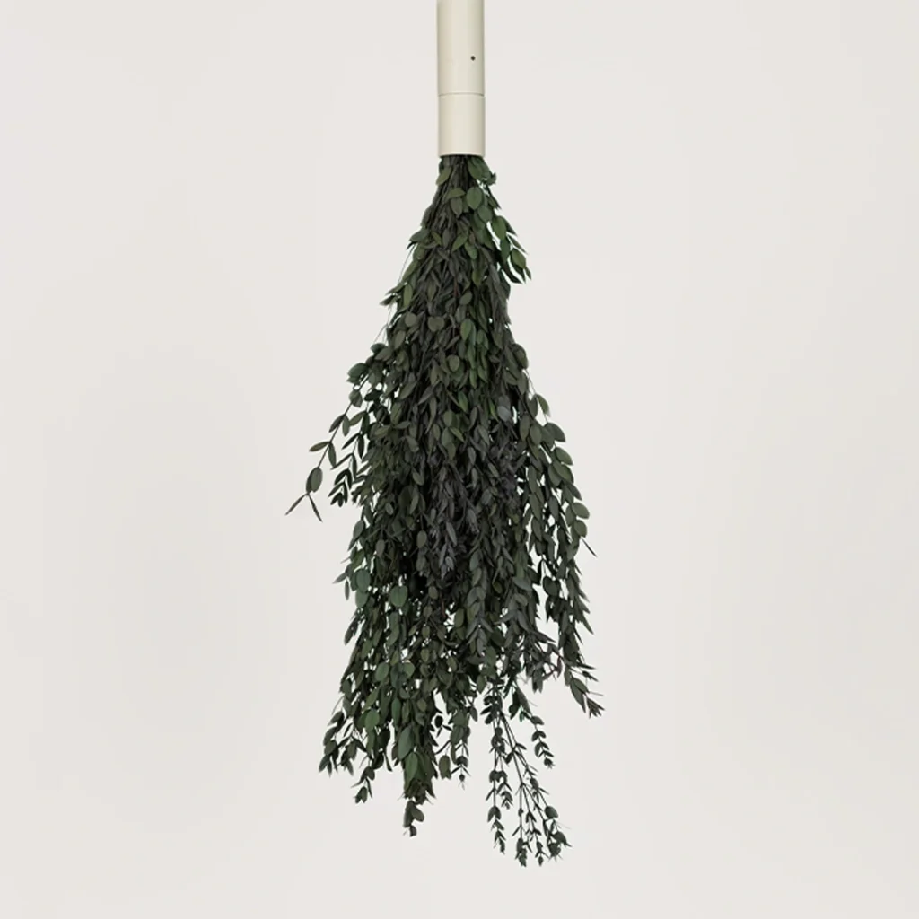 parvifolia green.webp