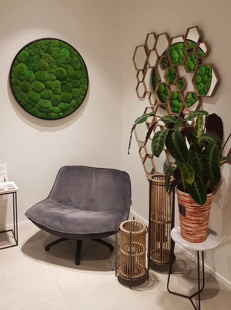 greenmood g circles gallery 20